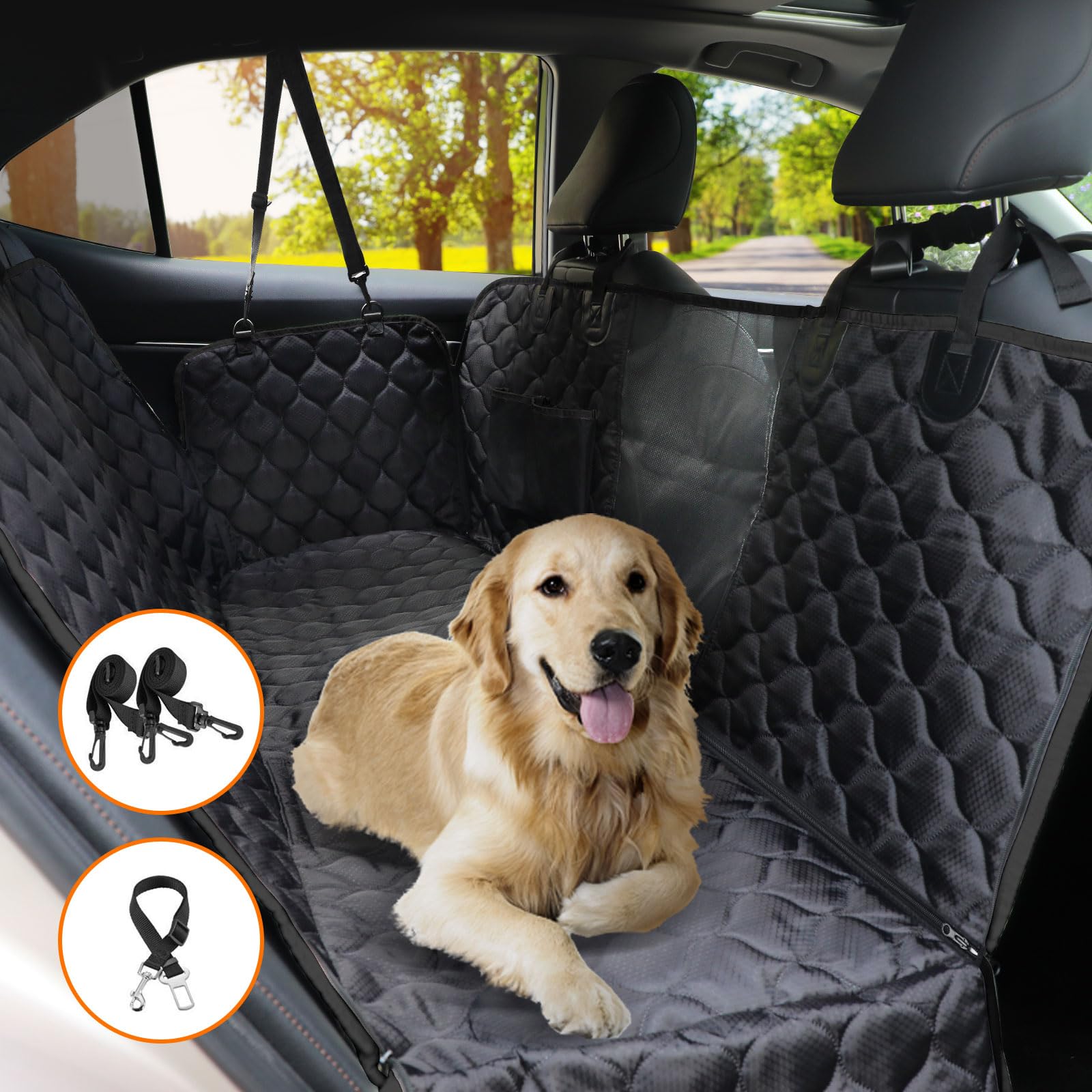 PETICON visible window improves pet visibility and reduces travel anxiety