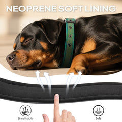 PetiFine 360° reflective straps boost visibility during early morning walks