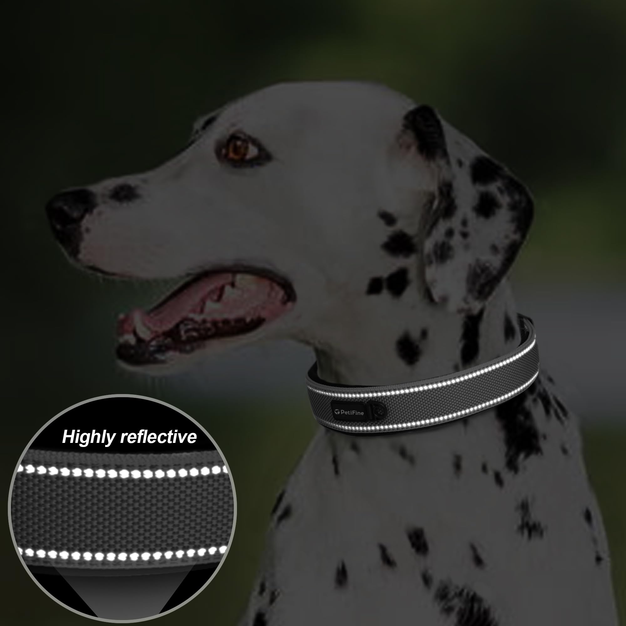 PetiFine adjustable dog collar sized for medium breeds for a secure neck fit.