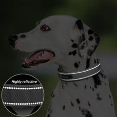 PetiFine adjustable dog collar sized for medium breeds for a secure neck fit.