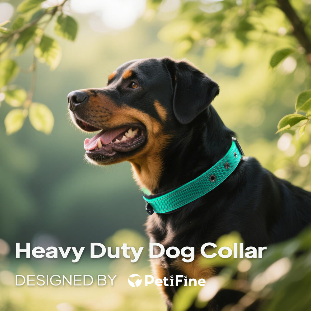 PetiFine knitted webbing collar offers sturdy construction and long-lasting durability.