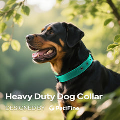 PetiFine knitted webbing collar offers sturdy construction and long-lasting durability.