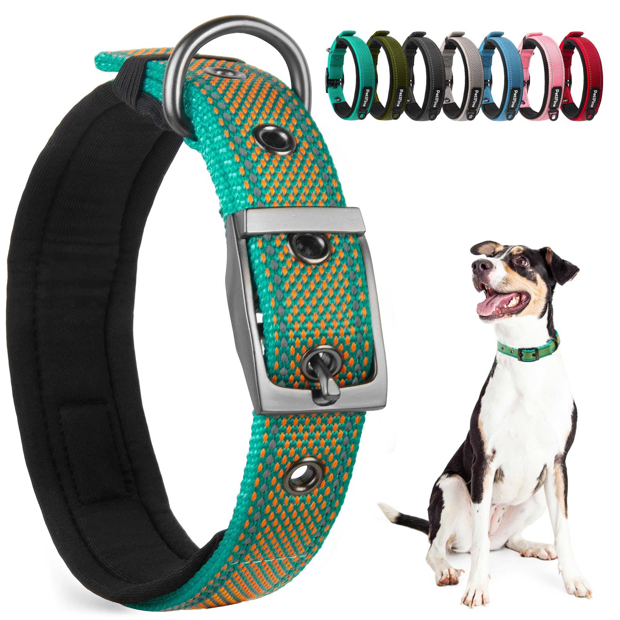 PetiFine large teal-orange buckle closeup shows durable hardware for daily walks