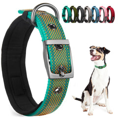 PetiFine large teal-orange buckle closeup shows durable hardware for daily walks