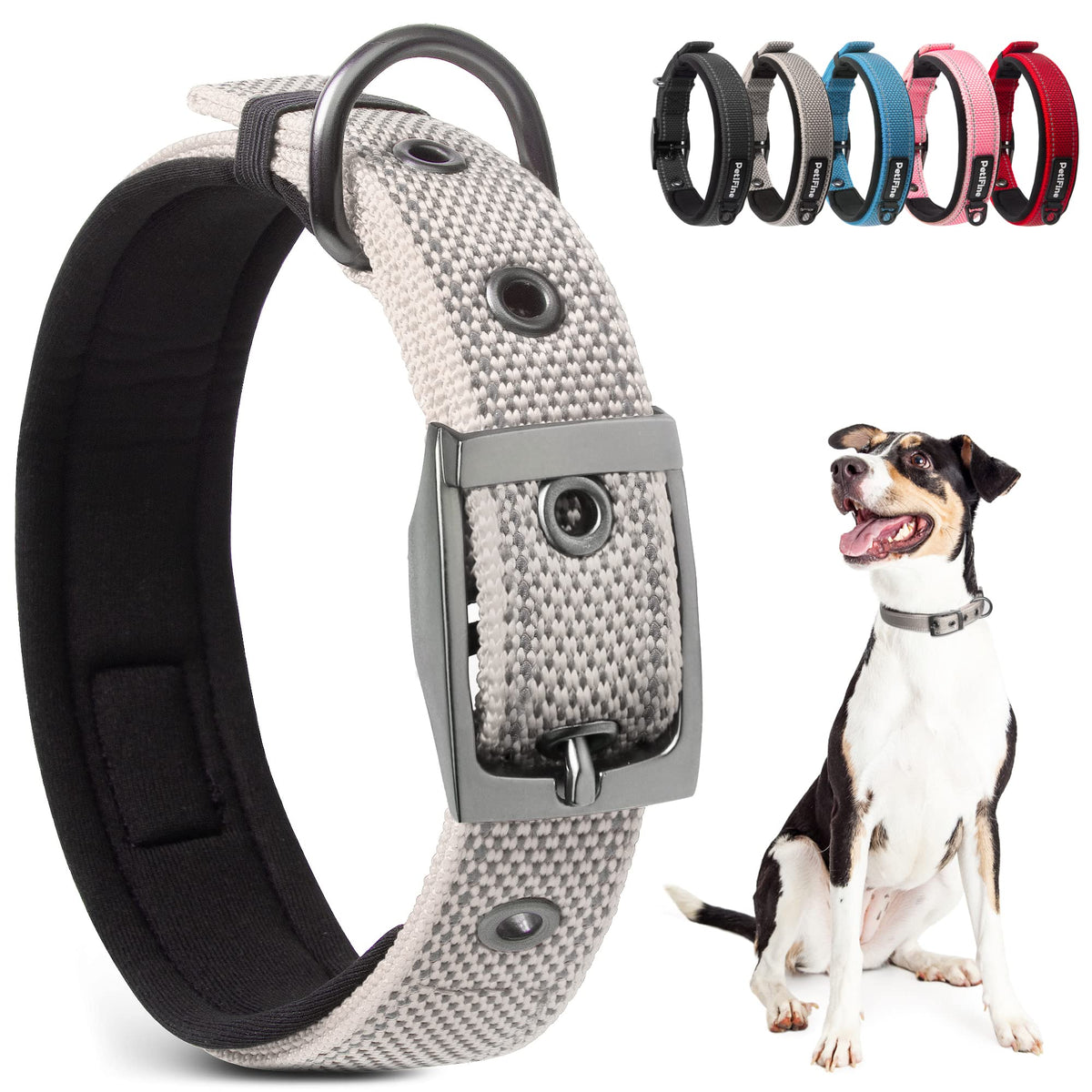 PetiFine dog collar with neoprene padding provides soft comfort on daily walks.