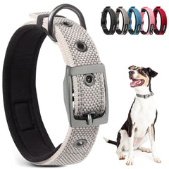 PetiFine dog collar with neoprene padding provides soft comfort on daily walks.