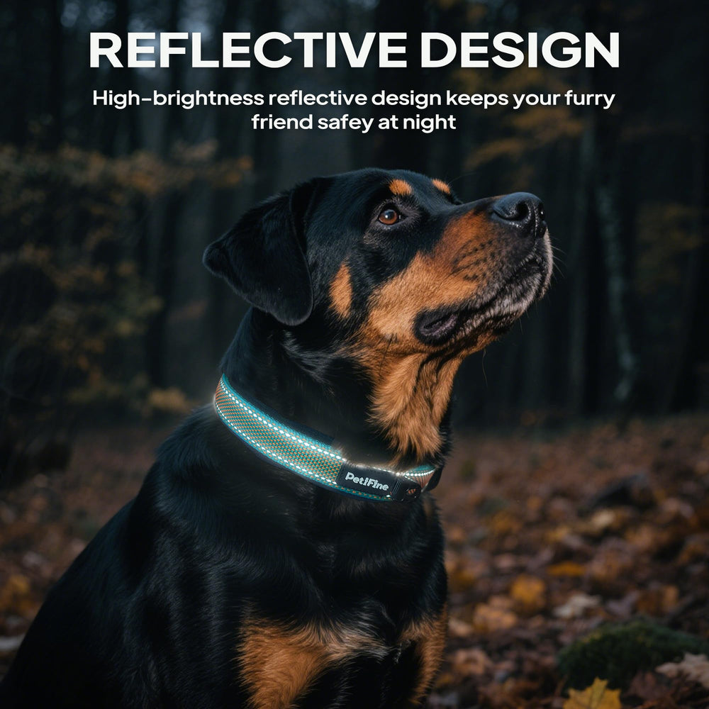 PetiFine durable metal buckle adds lasting strength for daily adventures
