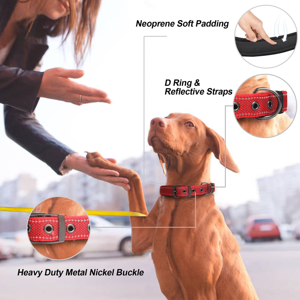 PetiFine heavy-duty dog collar with metal buckle for secure leash control.