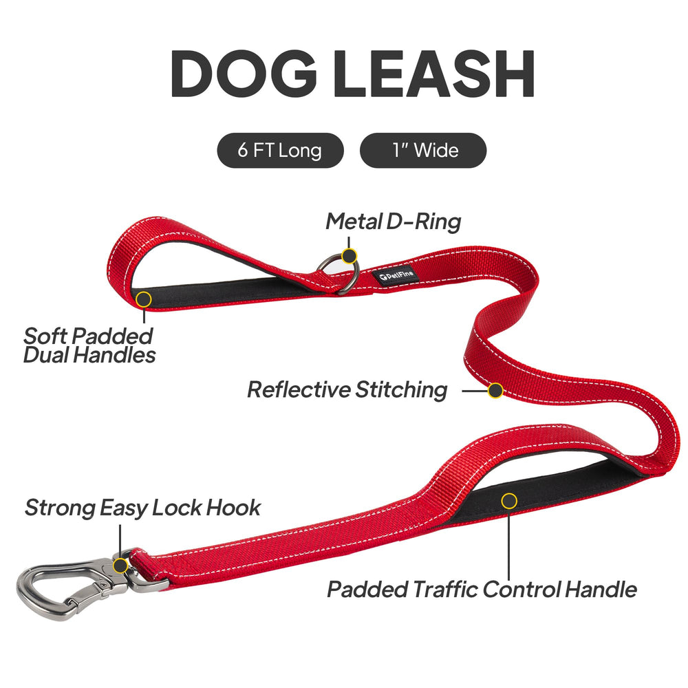 PetiFine heavy-duty leash with strong clip ensures secure control during energetic strolls.