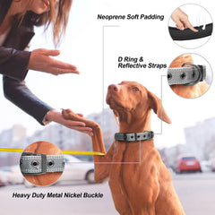 PetiFine heavy-duty metal buckle collar demonstrates lasting durability for training and walking.