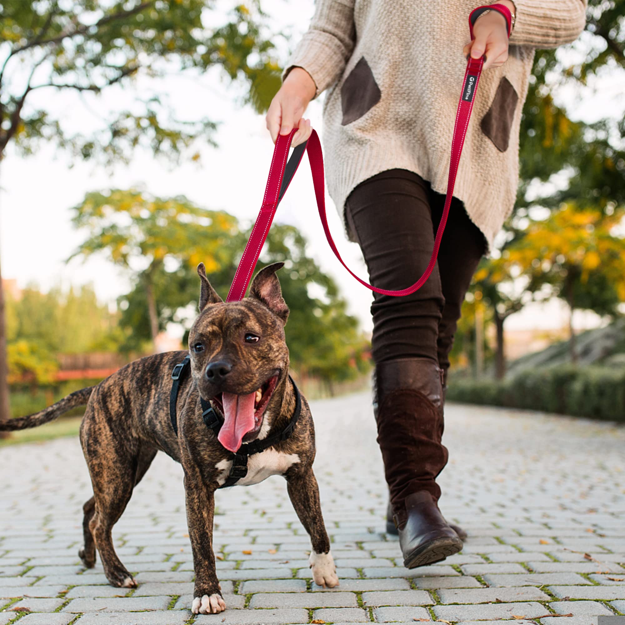 PetiFine red leash enhances visibility during evening walks and runs.