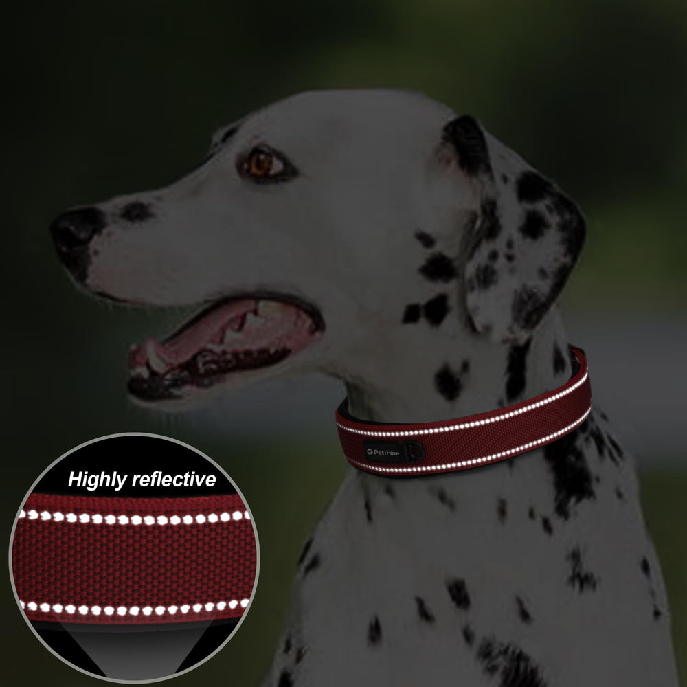 PetiFine reflective straps dog collar improves visibility in low light.