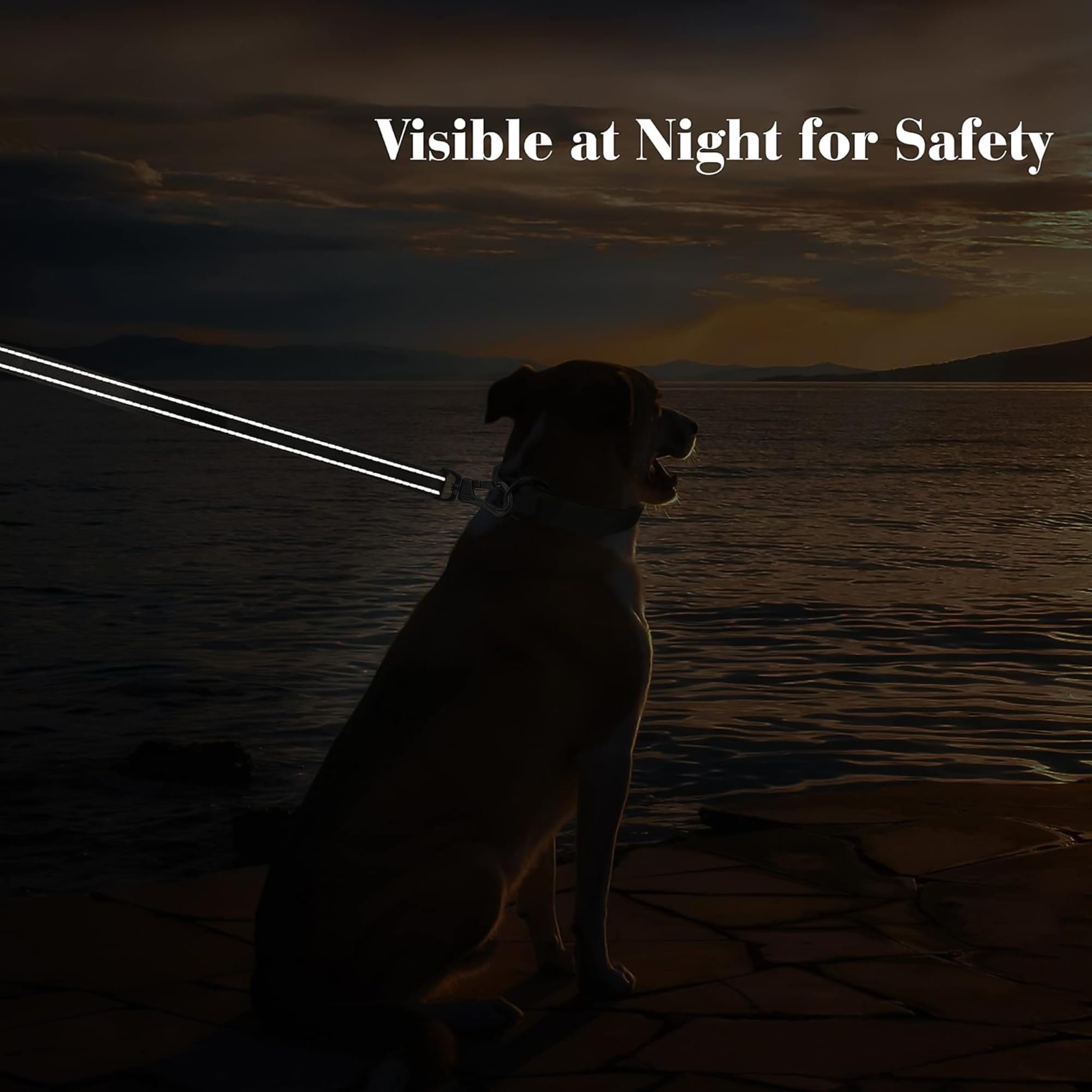 PetiFine 4 ft leash provides extra traffic handle for quick control in crowded areas