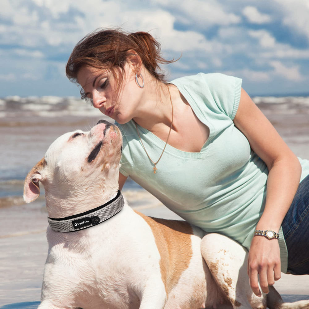 PetiFine walking collar demonstrates comfortable cushion during outdoor adventures.
