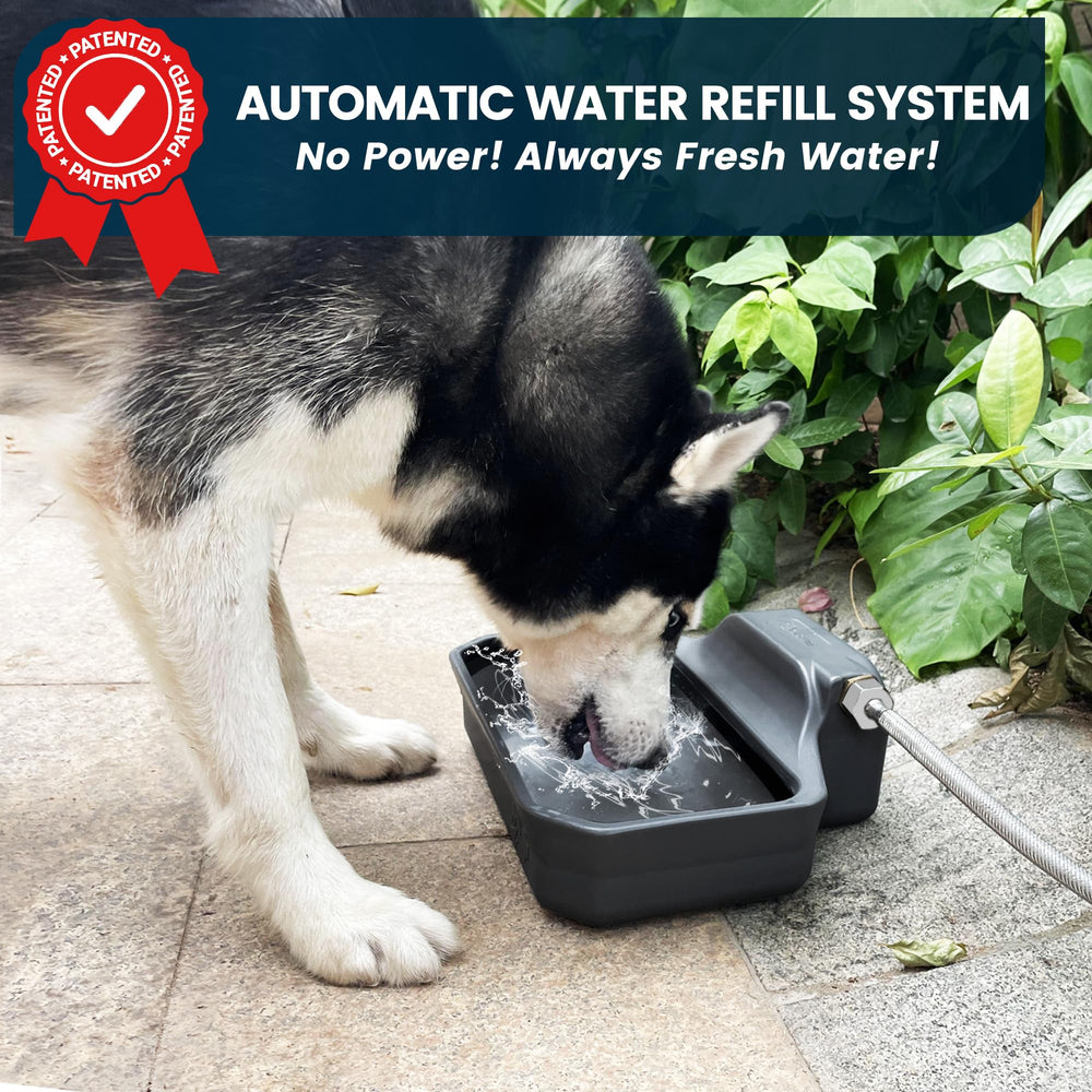 PETIMI water dispenser with hose connection for easy outdoor installation