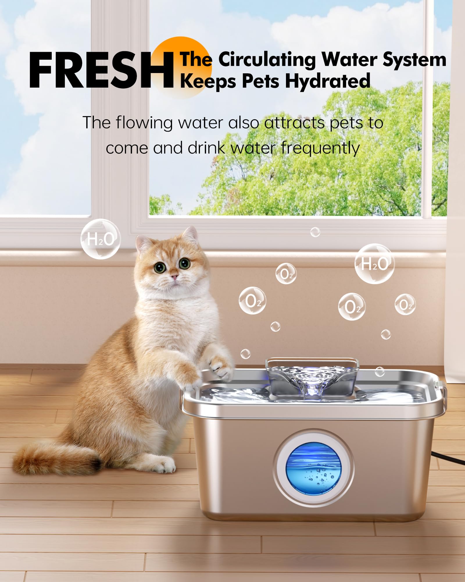 PETIMI fountain is ideal for households with cats and dogs.