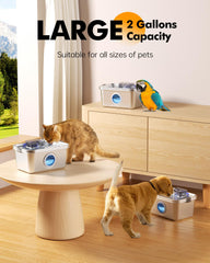 PETIMI water level window helps easy refills and monitoring.