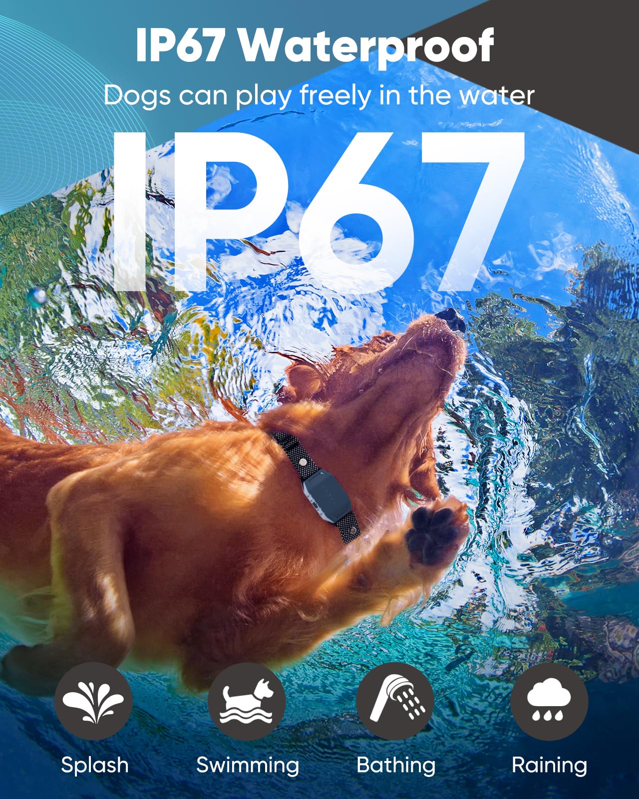 PETINBOX IP67 waterproof collar in rain during outdoor play