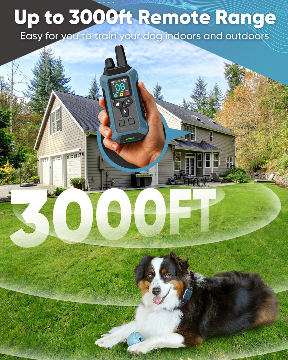PETINBOX 3000ft range for long-distance recall training