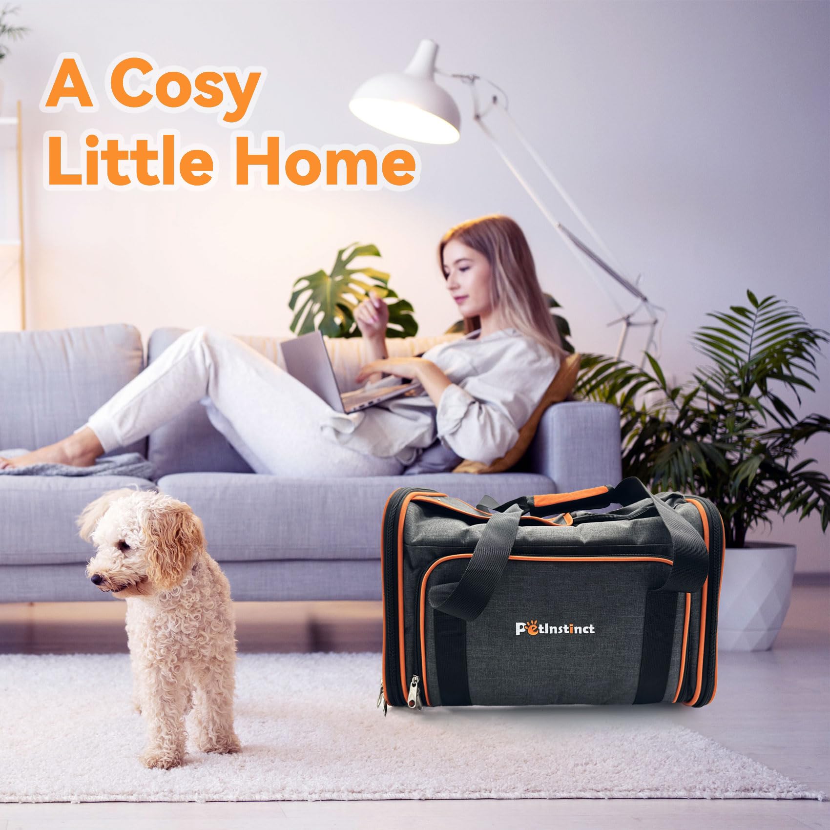Petinstinct collapsible carrier with reinforced seams for daily use.
