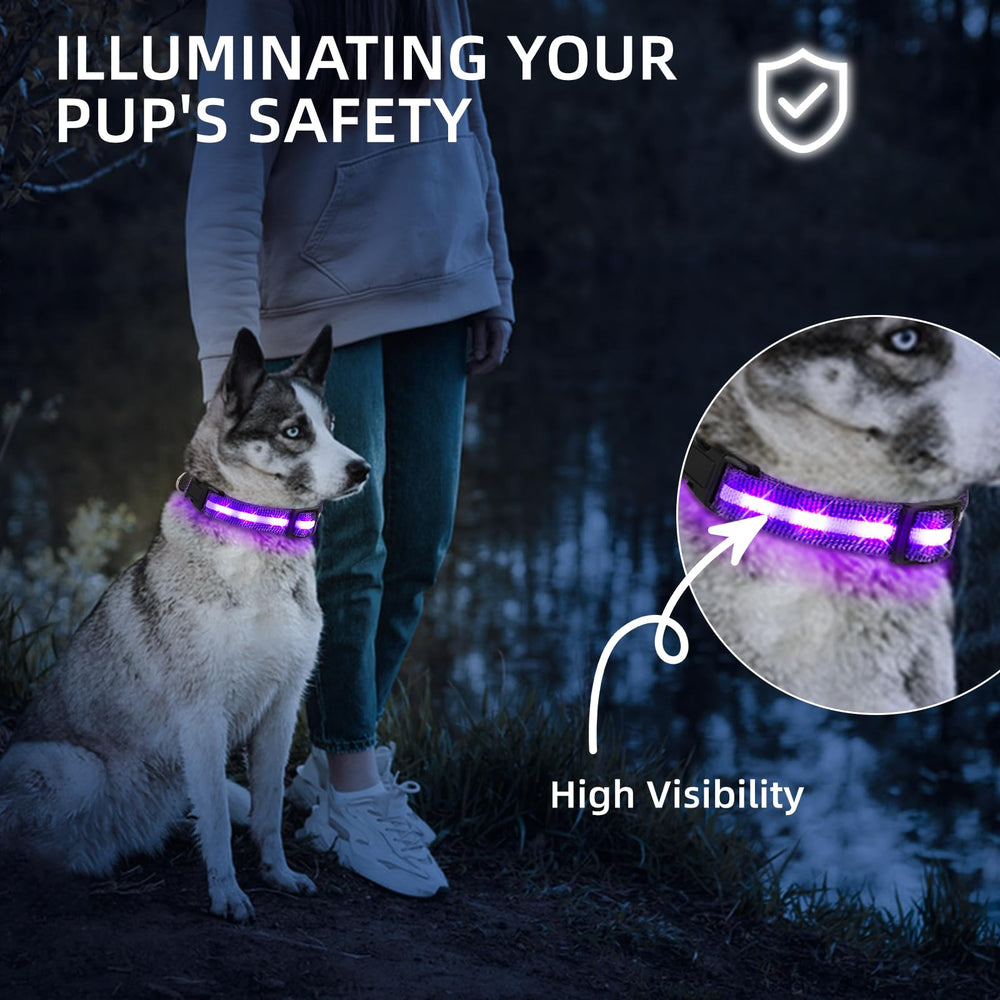PetIsay adjustable soft collar strap for comfortable fit