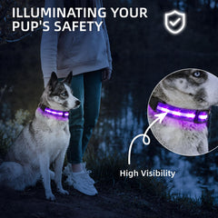 PetIsay adjustable soft collar strap for comfortable fit