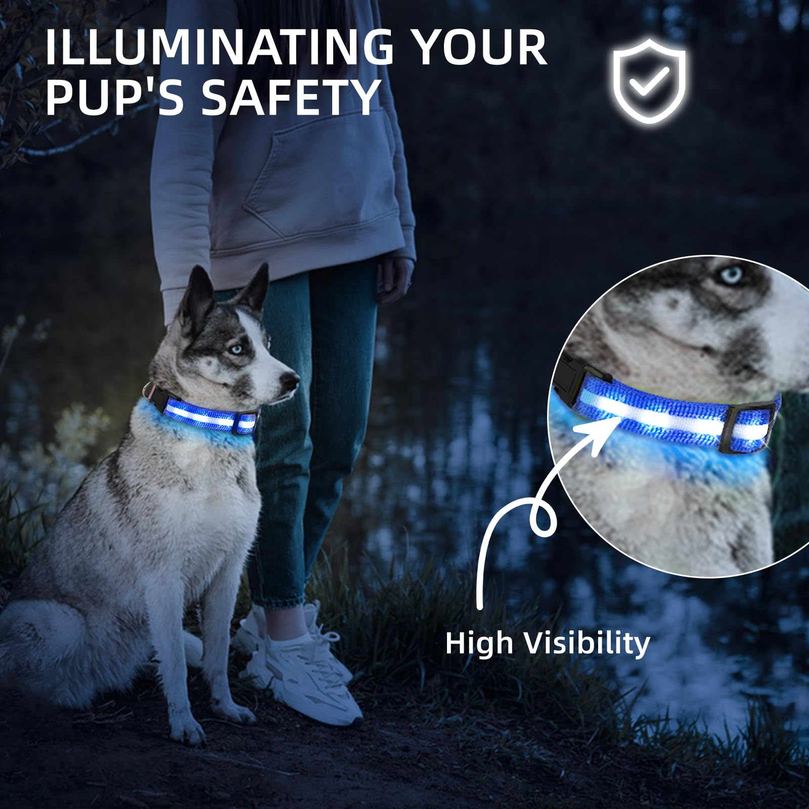 PetIsay collar LED con carga USB-C para recargas rápidas