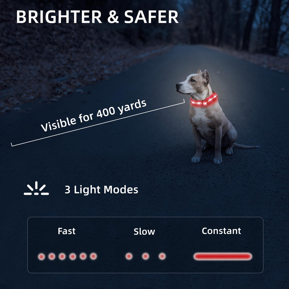 PetIsay collar displaying three modes and brightness options