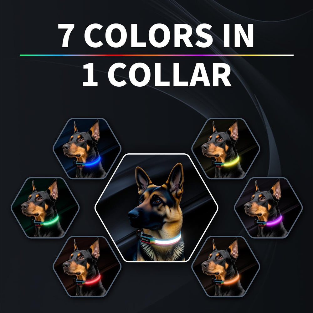 PetIsay LED dog collar color options with one-tap switch.