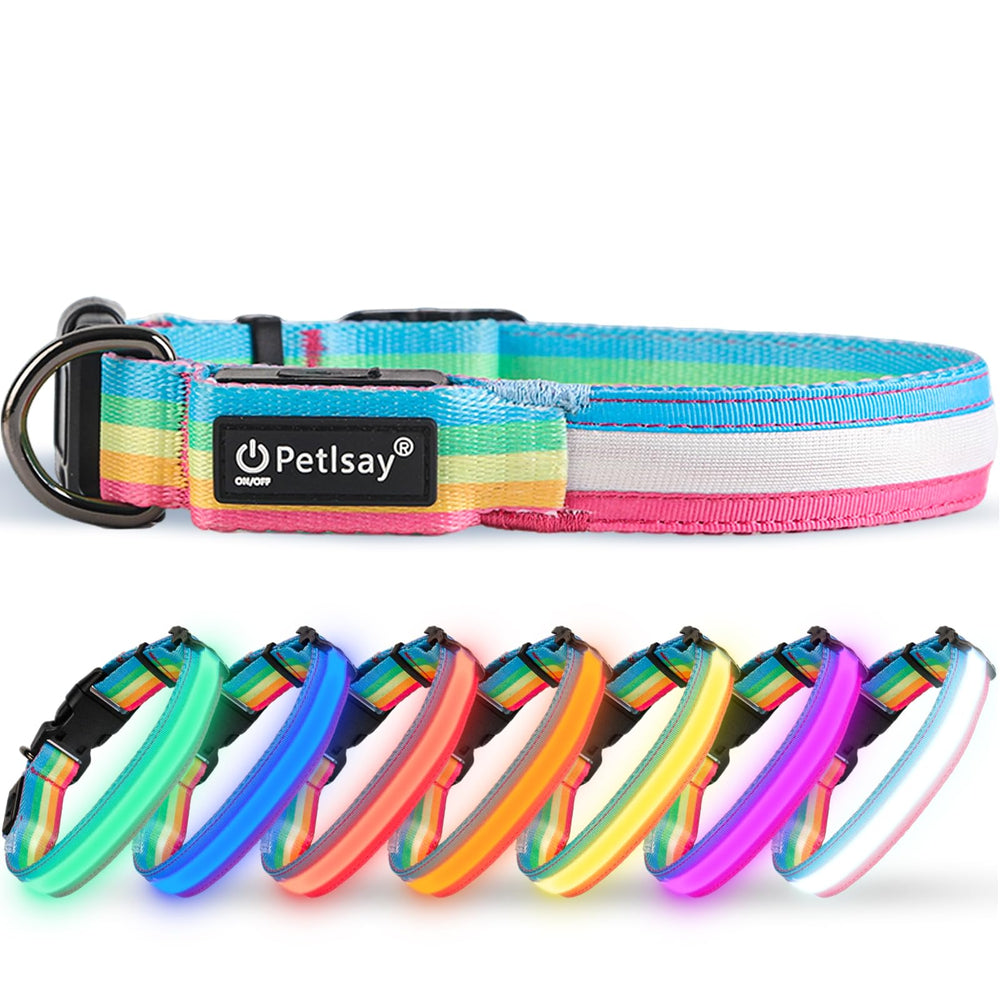 PetIsay collar in use during dog-walking at dusk.