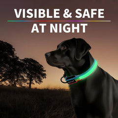 PetIsay collar side-adjusted design for secure fit during walks.
