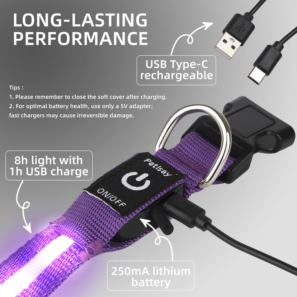 PetIsay purple LED glow collar for safe night walks