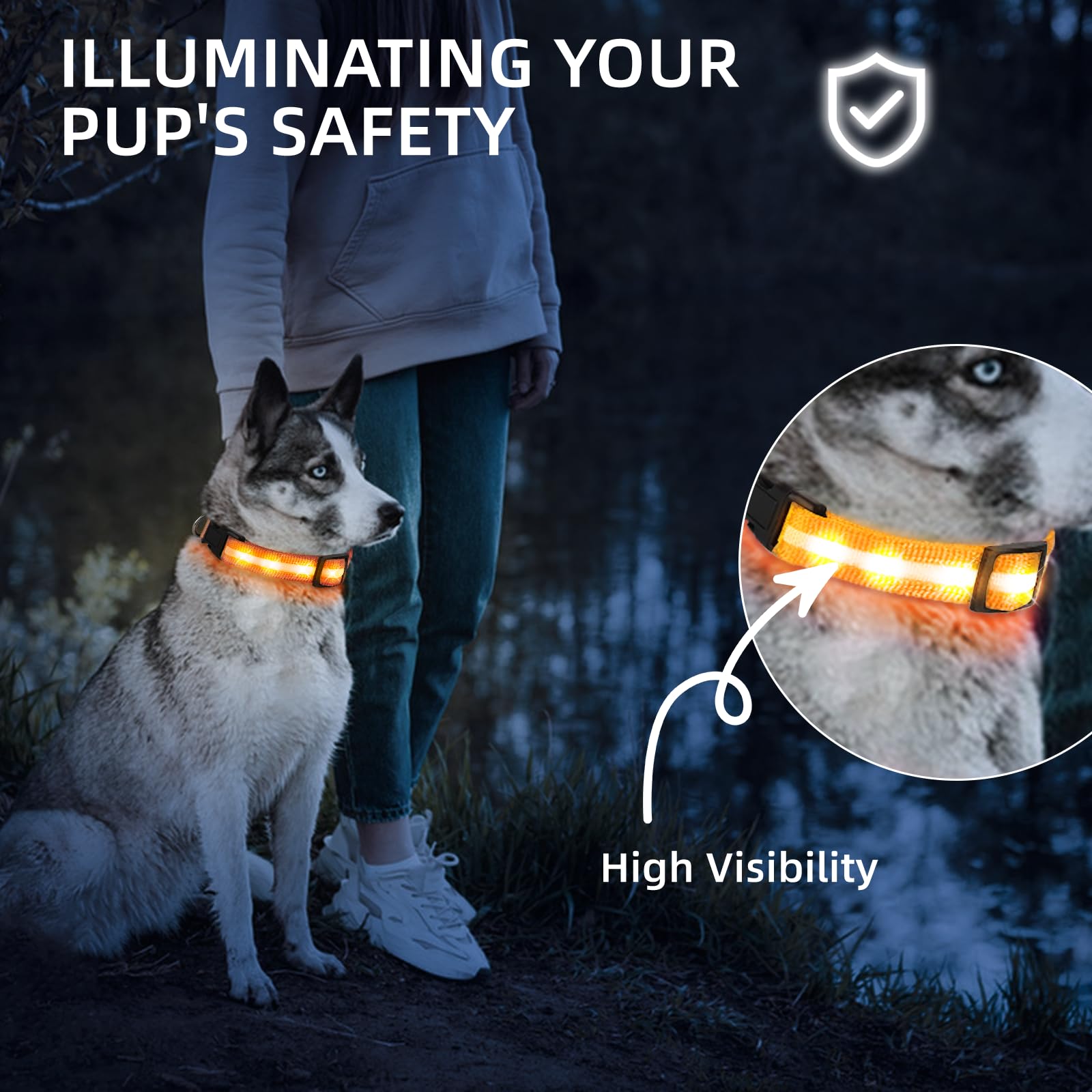 PetIsay adjustable-fit-dog-collar shown on a medium dog for secure comfort