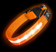 PetIsay super-bright-led-dog-collar glowing on a night walk for enhanced visibility