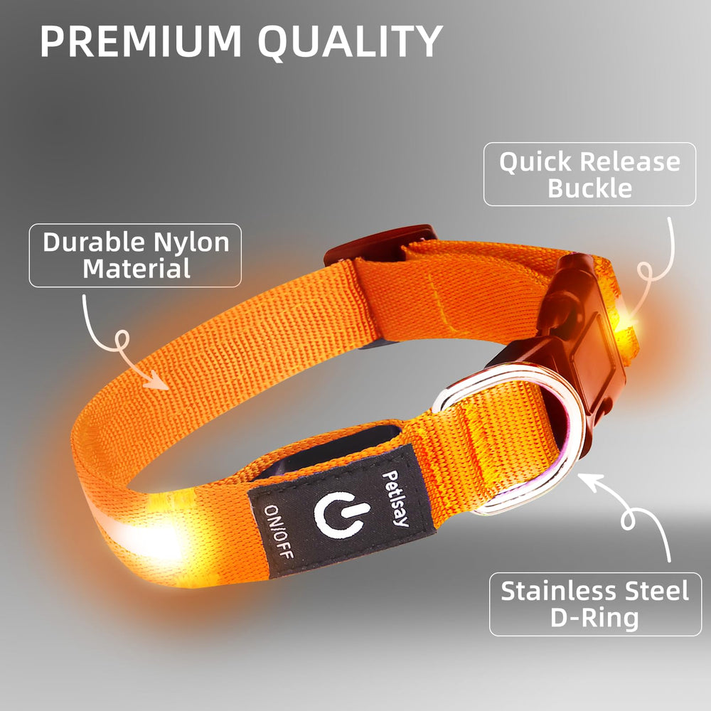 PetIsay durable-nylon-dog-collar enduring mud and snow during all-night adventures