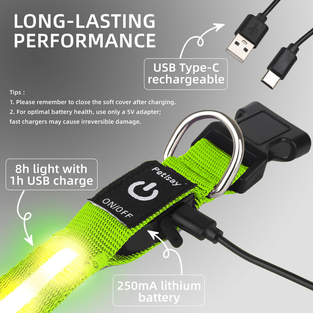 PetIsay Super Bright LED Dog Collar green XS daily-use friendly design