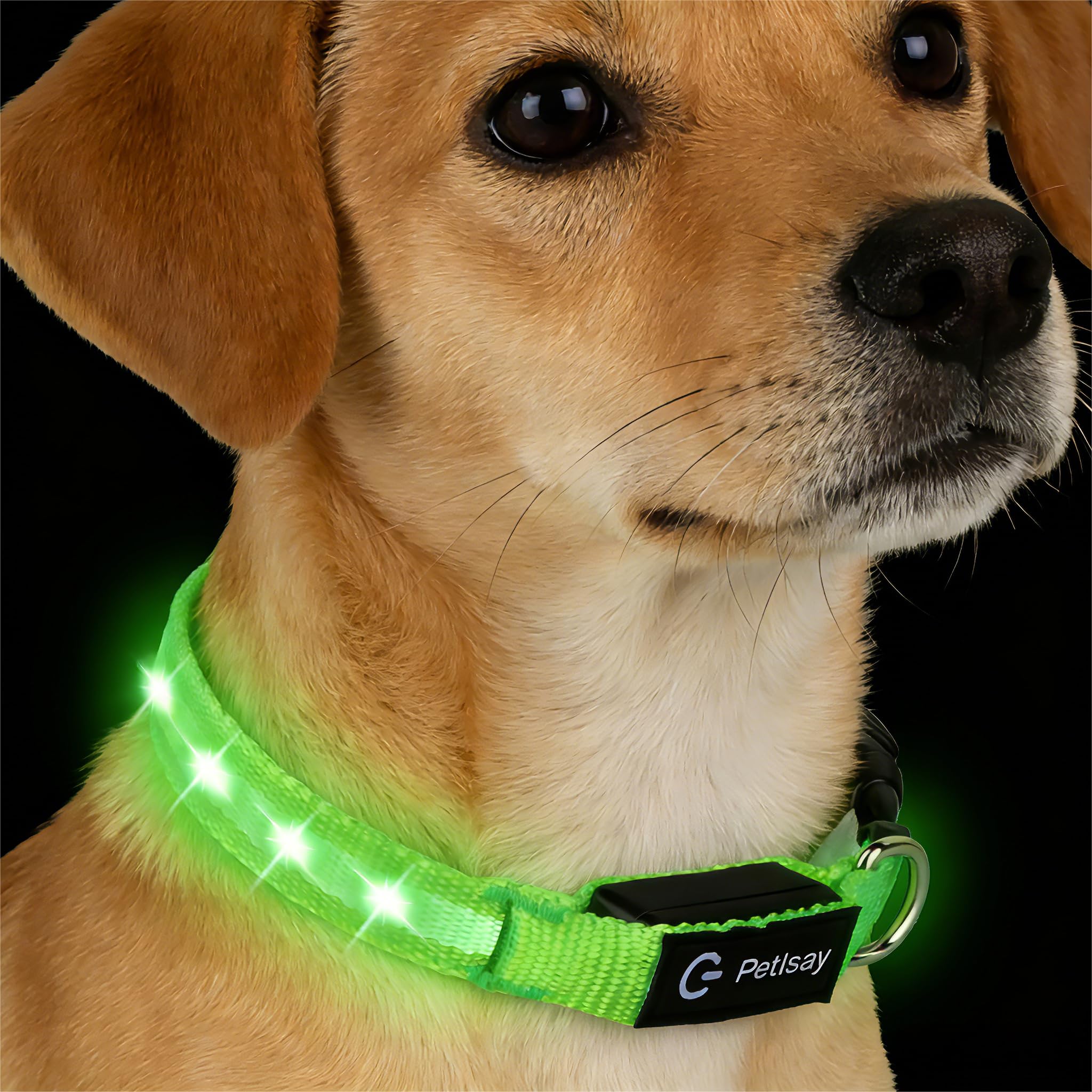 PetIsay Super Bright LED Dog Collar green XS front view with vivid glow for night walks