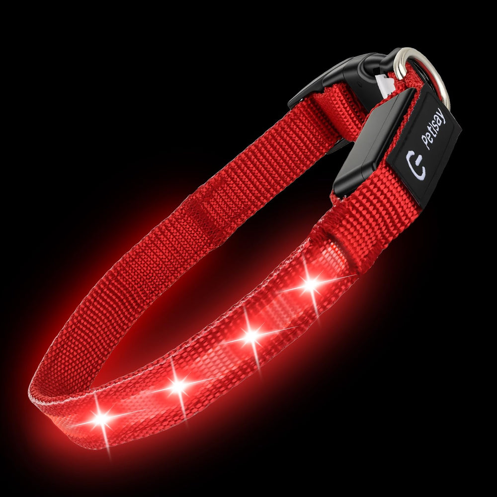 PetIsay collar during night walk setup showing glow