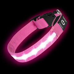 PetIsay Super Bright LED dog collar pink illuminates night walks with vivid visibility.
