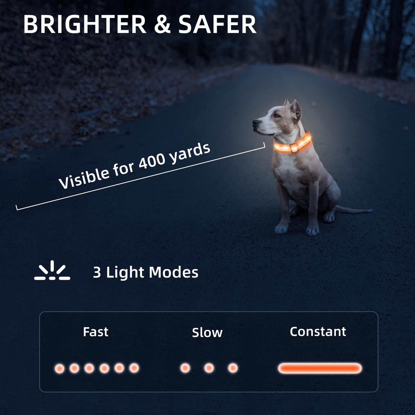 PetIsay usb-c-recharge-dog-collar charging setup highlights quick recharge readiness