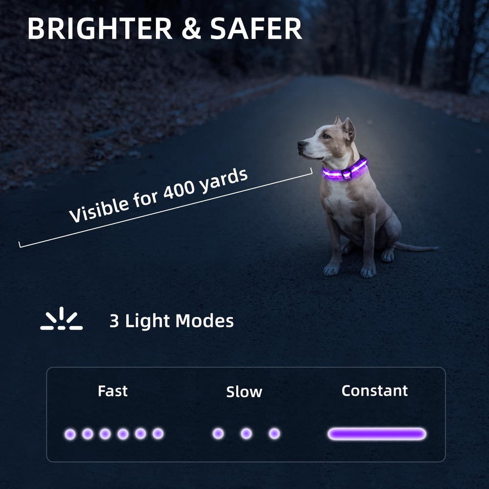 PetIsay three mode LED collar with bright settings