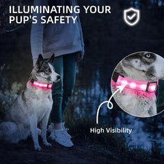 PetIsay waterproof dog collar shines through rain and mud for worry-free adventures.
