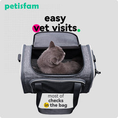 petisfam airline approved under-seat fit for cabin travel