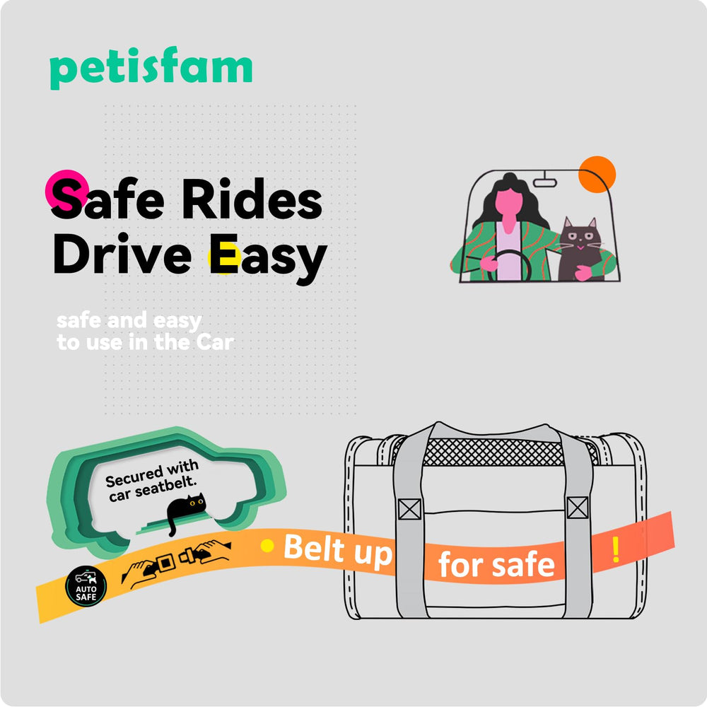 petisfam car seat belt straps secure the carrier in a vehicle
