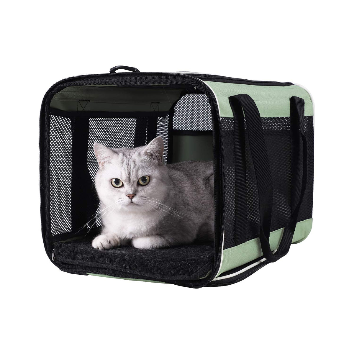 petisfam Easy Load Carrier front view showing roomy space for large cats