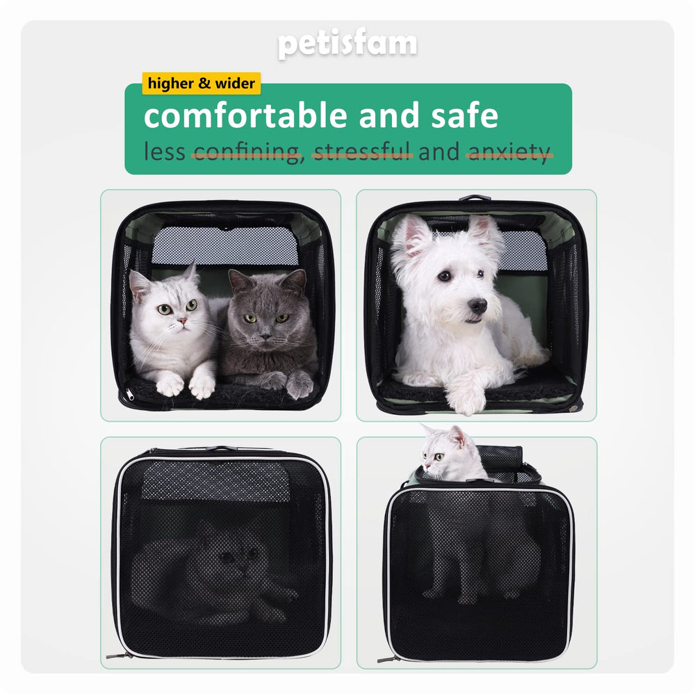 petisfam Easy Load Carrier in car seating secured for travel