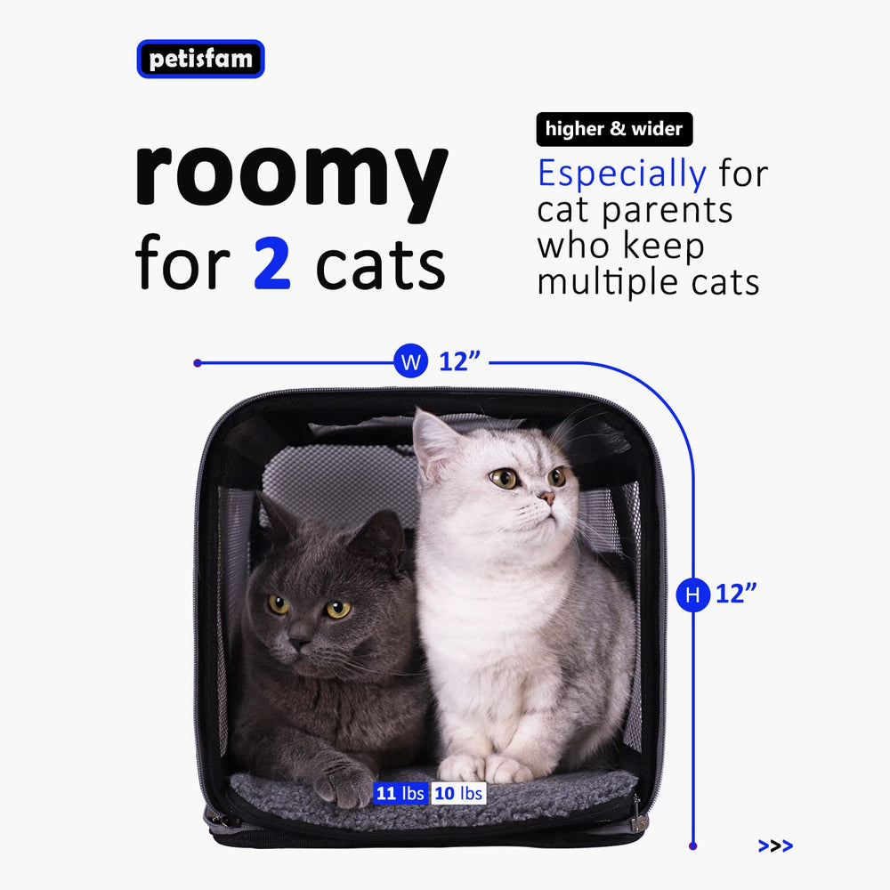petisfam Easy Load Soft Pet Carrier car-safety feature shows secure car travel