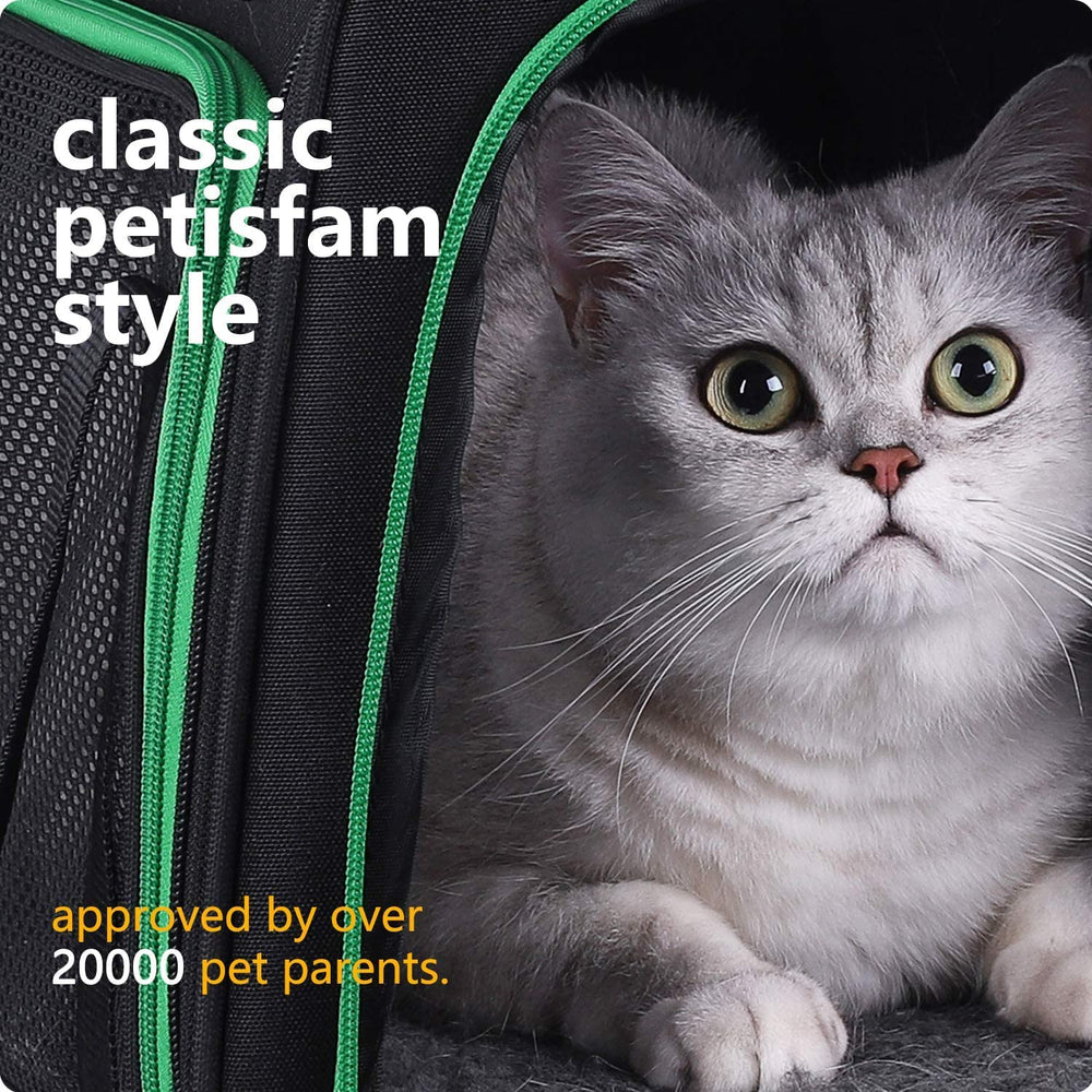 petisfam Quick-in Carrier dimensions 17 by 11 by 11 inches