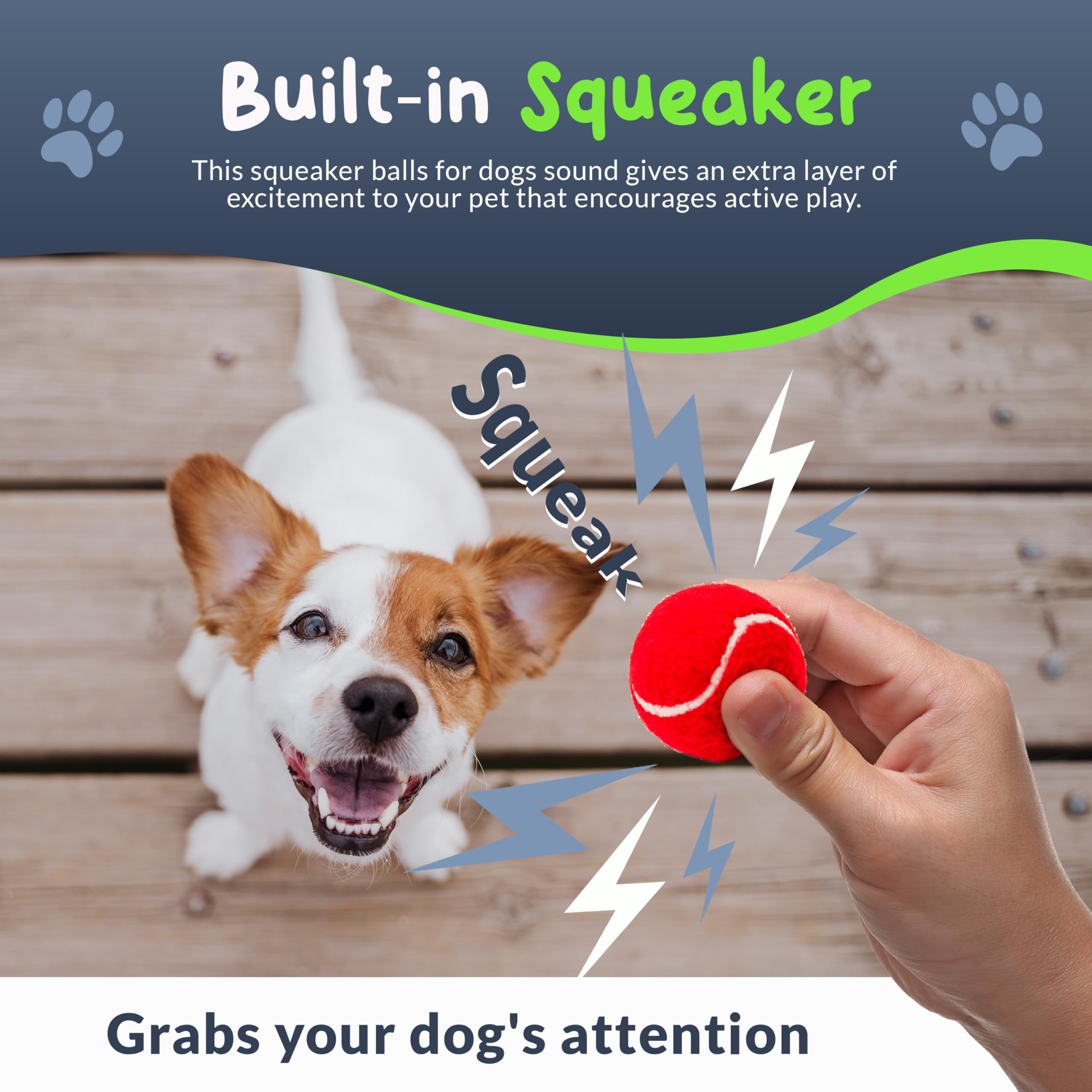 Petite Paws lavender purple squeaky tennis ball engages small dogs with squeak