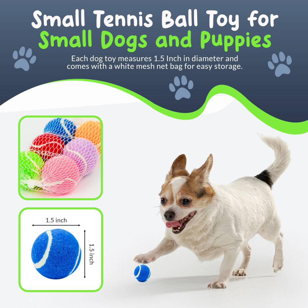 Petite Paws lime green squeaky tennis ball enhances focus during puppy play